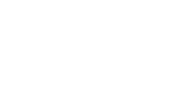 Bison Run Logo